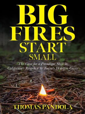 cover image of Big Fires Start Small